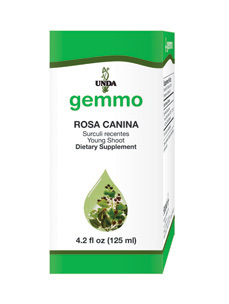 Gemmo - Rosa Canina (Shoot)